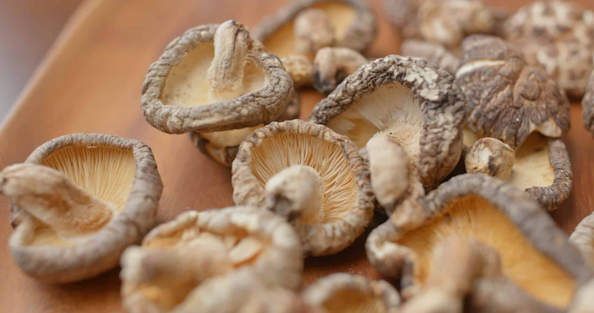 Stapel getrockneter Pilze auf einem Holzteller