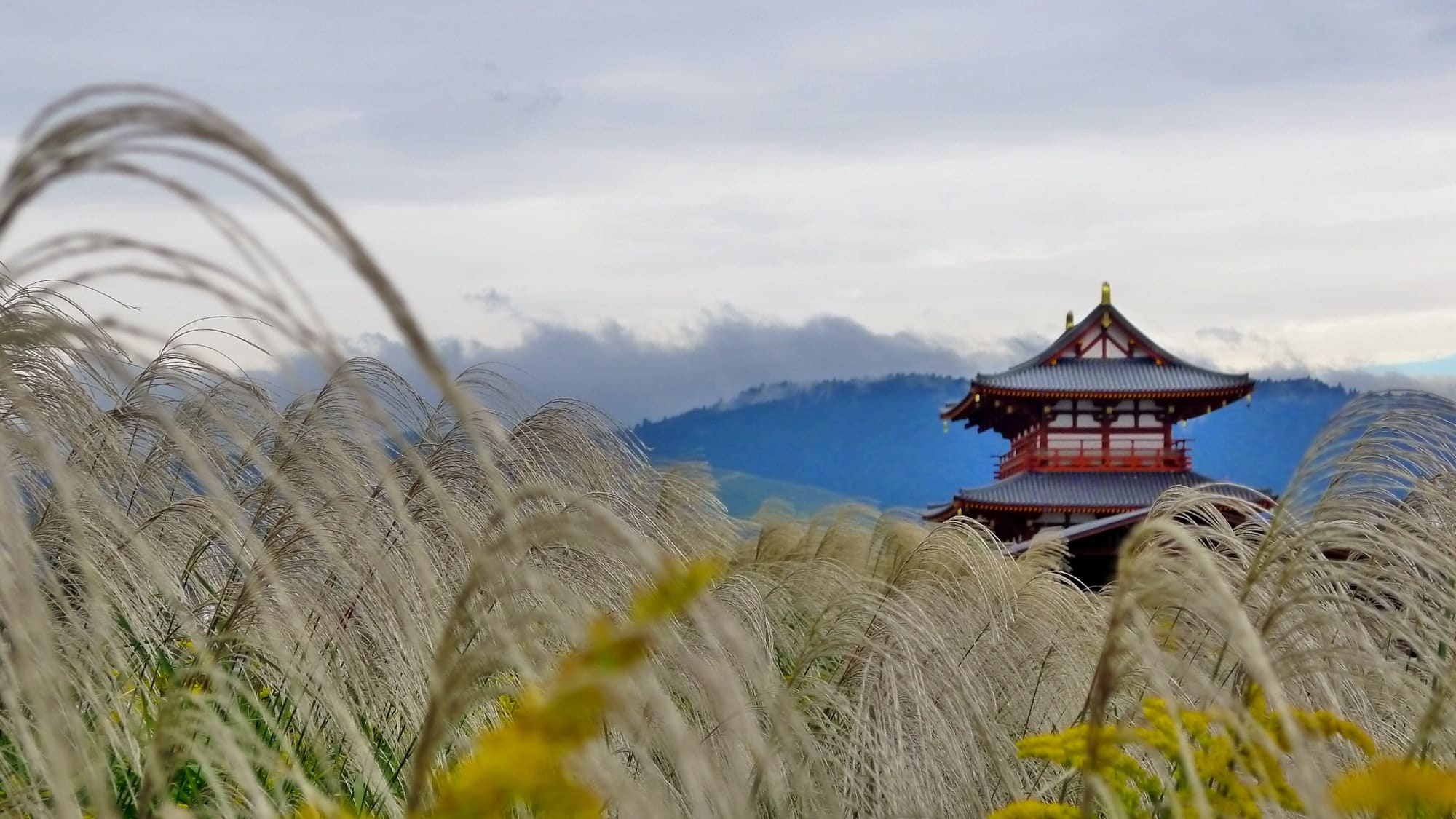Von Yokohama nach Tokio: Die kurze Geschichte der Ramen
